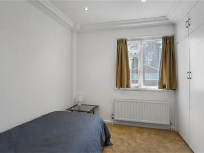 Picture 24